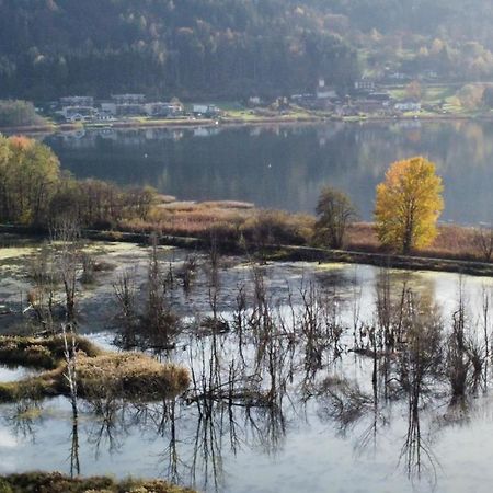 Ferienhaus Natura 2000 Щайндорф ам Осиахер Зее Екстериор снимка