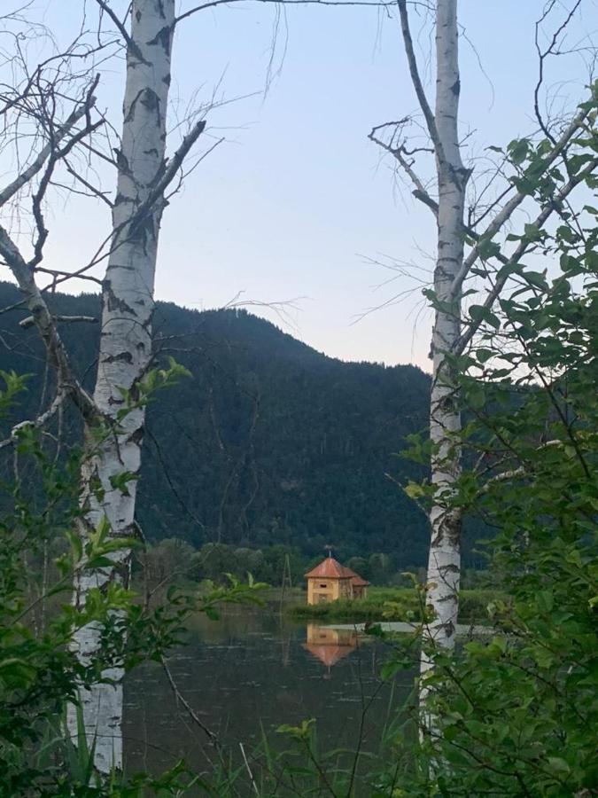 Ferienhaus Natura 2000 Щайндорф ам Осиахер Зее Екстериор снимка