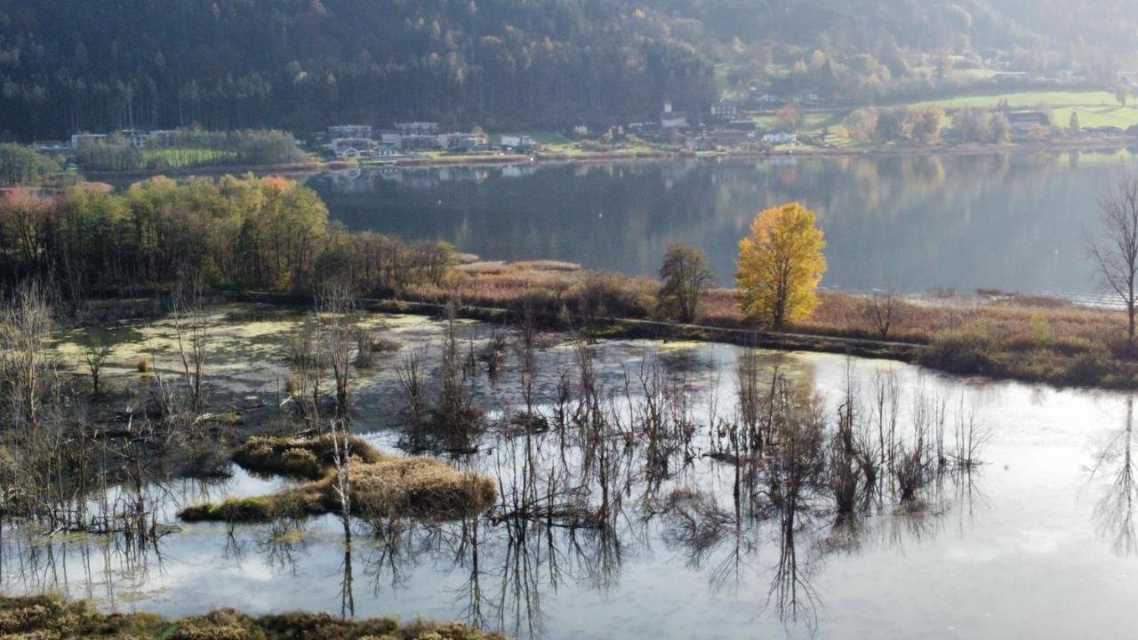 Ferienhaus Natura 2000 Щайндорф ам Осиахер Зее Екстериор снимка